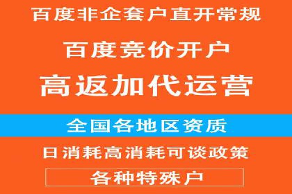 网络推广策略：竞价广告的实践案例